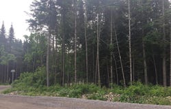 702 Rue Viau, Sainte-Brigitte-de-Laval, Quebec G0A 3K0