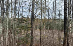 Feener Road, Farmington, Nova Scotia B0R 1A0