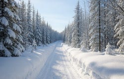 10e Rang, Saint-Calixte, Quebec J0K1Z0