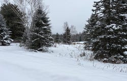 Ch. du Camping, Mont-Laurier, Quebec J9L3G6