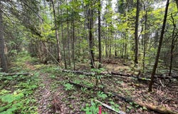 Ch. de la Clairière, Alma, QC G8B5V3, CA, Alma, Quebec G8B5V3