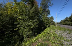 Rue de l'Excursion, Morin-Heights, Quebec J0R1H0
