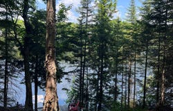 Ch. des Érables, Wentworth, Quebec J8H0E9