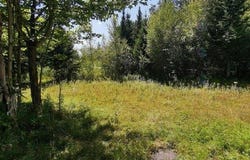 Route 243, Racine, Quebec J0E1Y0