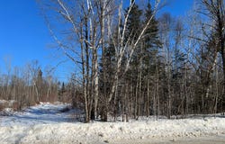7740 Ch. River, Pontiac, Quebec J0X2G0