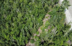 Rg St-Jérôme, Baie-Saint-Paul, QC G3Z3A2, CA, Baie-Saint-Paul, Quebec G3Z3A2