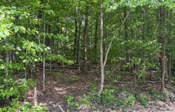 Ch. des Cèdres, Sainte-Anne-des-Lacs, QC J0R1B0, CA, Sainte-Anne-des-Lacs, Quebec J0R1B0