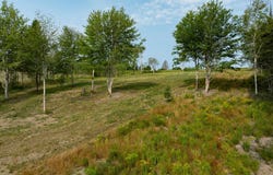 Highway 19, Hawleys Hill Lot 3, Mabou, Nova Scotia B0E 1X0