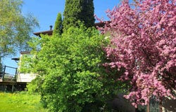 2853 Bellwood Drive, Clarington, Ontario L1B0L5