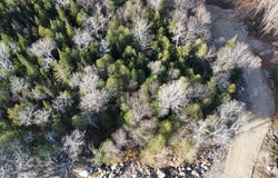 Route 309 N., Notre-Dame-de-Pontmain, QC J0W1S0, CA, Notre-Dame-de-Pontmain, Quebec J0W1S0