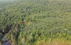 Route 309 S., Ferme-Neuve, Quebec J0W1C0