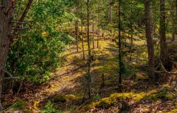 1 Main Rd, Lasqueti Island, British Columbia V0R 2J0