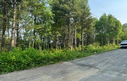 Rue de la Traverse, Saint-Tite-des-Caps, QC G0A4J0, CA, Saint-Tite-des-Caps, Quebec G0A4J0