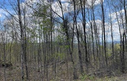 Rue de l'Excursion, Morin-Heights, Quebec J0R1H0