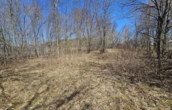 1 Ch. Lesage, Bouchette, Quebec J0X1E0