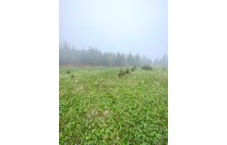 Route 132 O., Grosses-Roches, QC G0J1K0, CA, Grosses-Roches, Quebec G0J1K0