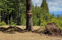 Lot 5 Forbidden Plateau Rd, Courtenay, British Columbia V9J 1L2