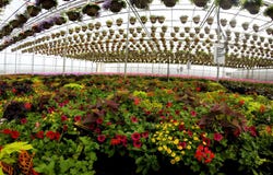 1101 Derry Road, Milton, Ontario L7P0E2
