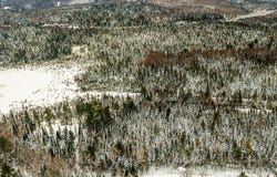 10e Rang, Val-David, Quebec J0T2N0