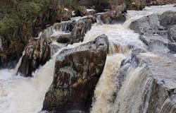1553Z 6e Rang, Brompton/Rock Forest/Saint-Élie/Deauville, QC J1C0H8, CA, Brompton/Rock Forest/Saint-Élie/Deauville, Quebec J1C0H8