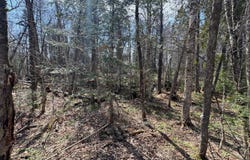 Ch. de la Montagne, Brownsburg-Chatham, QC J8G2B2, CA, Brownsburg-Chatham, Quebec J8G2B2