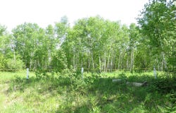 Ch. de la Pointe, Saint-Félicien, Quebec G8K3G3
