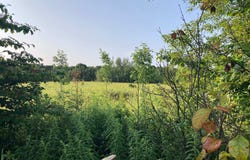 0 Southgate Road, Southgate, Ontario N0C1B0