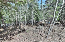 19 Ch. du Lac-Marcelin, Sainte-Thérèse-de-la-Gatineau, Quebec J0X2X0