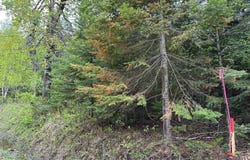 Mtée Mongeau, Saint-Calixte, QC J0K1Z0, CA, Saint-Calixte, Quebec J0K1Z0