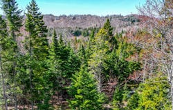 Rue des Gardénias, Sainte-Marguerite-du-Lac-Masson, QC J0T2N0, CA, Sainte-Marguerite-du-Lac-Masson, Quebec J0T2N0