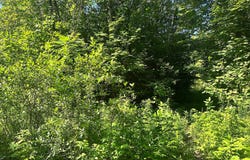 Rue de la Seigneurie, Beaupré, QC G0A1E0, CA, Beaupré, Quebec G0A1E0