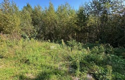 Av. Ste-Brigitte, Sainte-Brigitte-de-Laval, Quebec G0A3K0