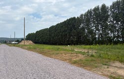 14e Rue, Ferme-Neuve, Quebec J0W1C0
