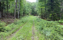 Ch. du Lac-à-la-Truite, La Minerve, QC J0T1S0, CA, La Minerve, Quebec J0T1S0
