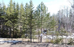 Ch. du Friche, Clermont, Quebec G4A1E9