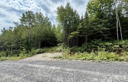 191 Ch. Bélanger, Saint-Charles-de-Bourget, Quebec G0V1V0