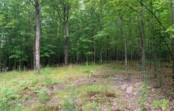 Rue Théophile-Ouimet, Lac-des-Écorces, QC J0W1H0, CA, Lac-des-Écorces, Quebec J0W1H0
