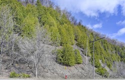 Rue Champlain, La Cité-Limoilou, Quebec G1K4J2