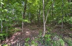 Ch. des Cèdres, Sainte-Anne-des-Lacs, QC J0R1B0, CA, Sainte-Anne-des-Lacs, Quebec J0R1B0