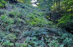 Ch. Glen, Wentworth, QC J8H0C2, CA, Wentworth, Quebec J8H0C2