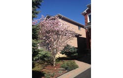 845 Mays Crescent, Mississauga, Ontario L5V2G6