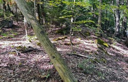 Ch. Glen, Wentworth, QC J8H0C2, CA, Wentworth, Quebec J8H0C2