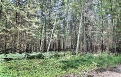 Ch. Charbonneau, Bouchette, QC J0X1E0, CA, Bouchette, Quebec J0X1E0
