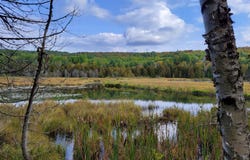 Ch. Léonard, Kiamika, Quebec J0W1G0