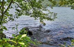 Ch. Descente 2, Ogden, QC J0B3E3, CA, Ogden, Quebec J0B3E3