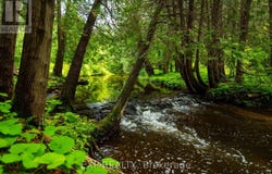 506097 HIGHWAY 89, Mulmur, Ontario L9V0N6