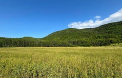 Route de lÉglise, Saint-Maxime-du-Mont-Louis, QC G0E1L0, CA, Saint-Maxime-du-Mont-Louis, Quebec G0E1L0
