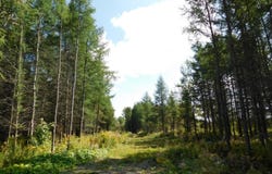Route 108 O., Stornoway, QC G0Y1N0, CA, Stornoway, Quebec G0Y1N0