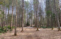 Route 329, Gore, QC J0V1K0, CA, Gore, Quebec J0V1K0