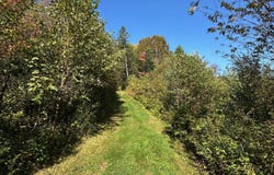 Av. Ste-Brigitte, Sainte-Brigitte-de-Laval, Quebec G0A3K0
